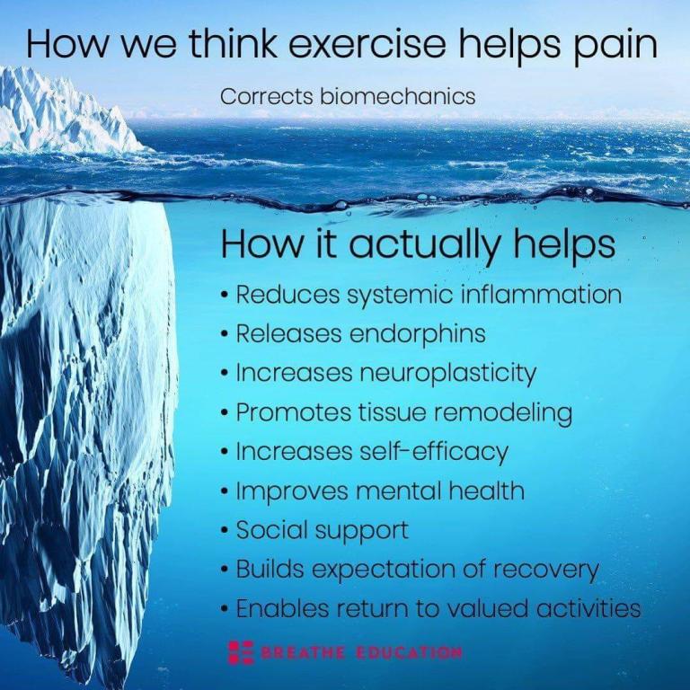 PBT פטריסיה עמרם PBT פטריסיה עמרם