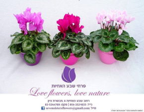 פרחי שבע האחיות