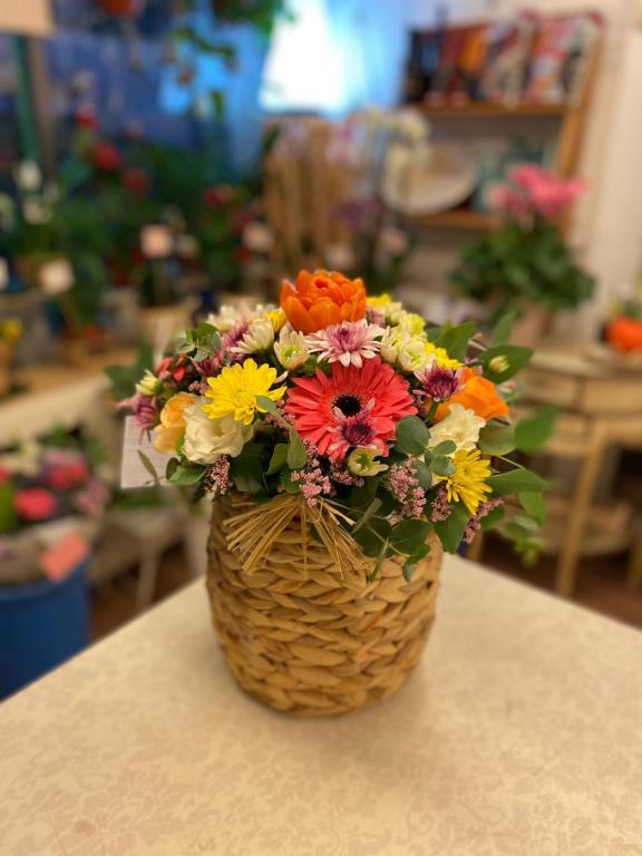 פרחים בצבעים פרחים בצבעים