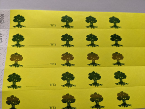 צמידי זיהוי wristbands