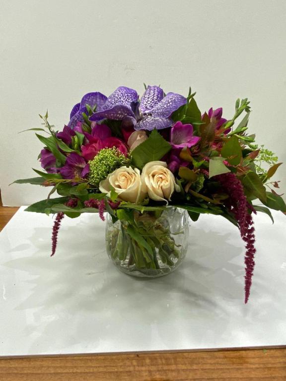 בוקט במושבה בוקט במושבה