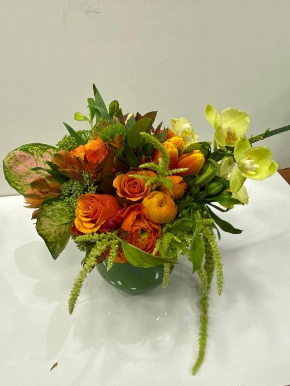 בוקט במושבה בוקט במושבה