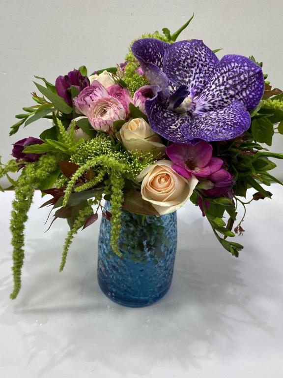 בוקט במושבה בוקט במושבה