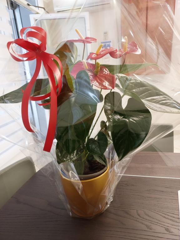 מירי שאול בלס משרד עורכי דין וגישור מירי שאול בלס משרד עורכי דין וגישור