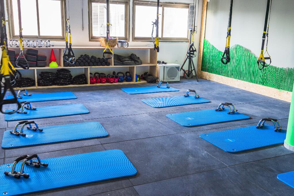 ספורטיבים ספורטיבים