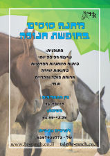 צבעים שיווק ופרסום