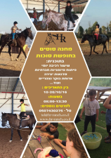 צבעים שיווק ופרסום