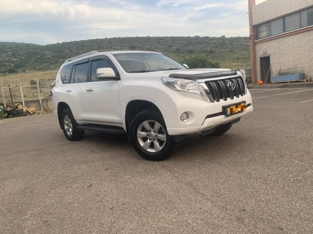 אמנוני סחר אמנוני סחר