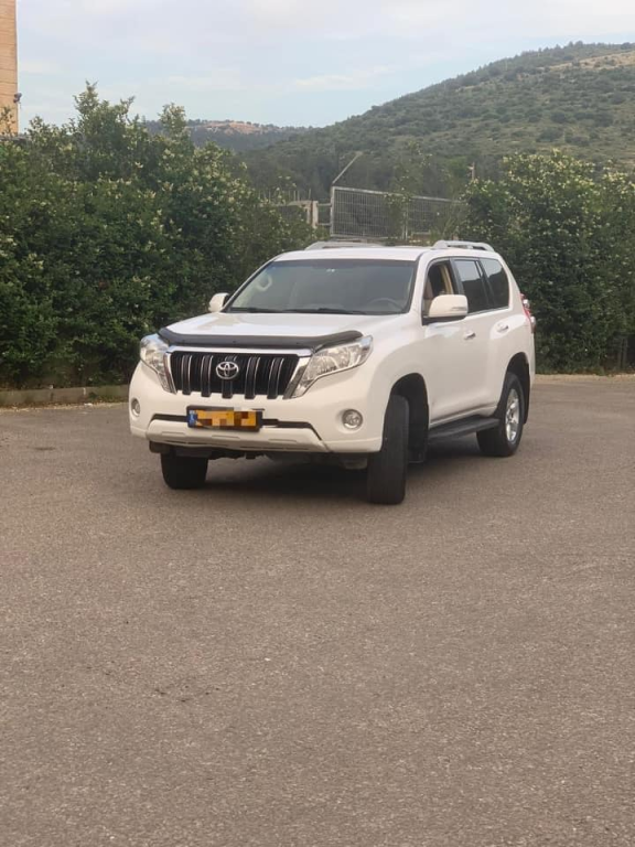 אמנוני סחר אמנוני סחר