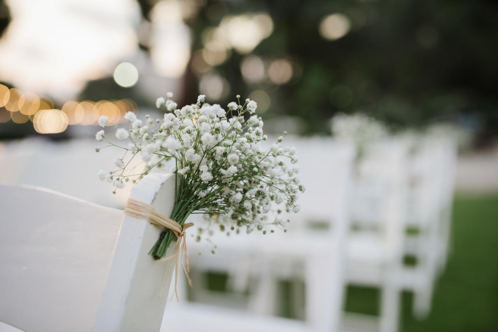 קייטרינג פרי האדמה קייטרינג פרי האדמה