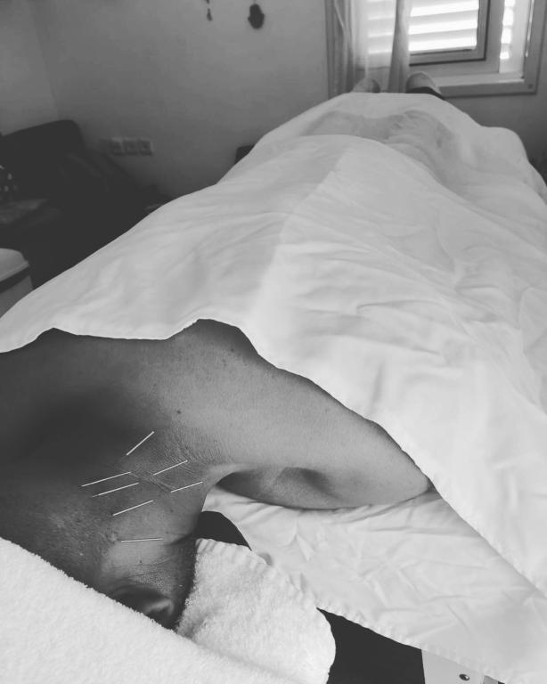 עודד שלם עודד שלם