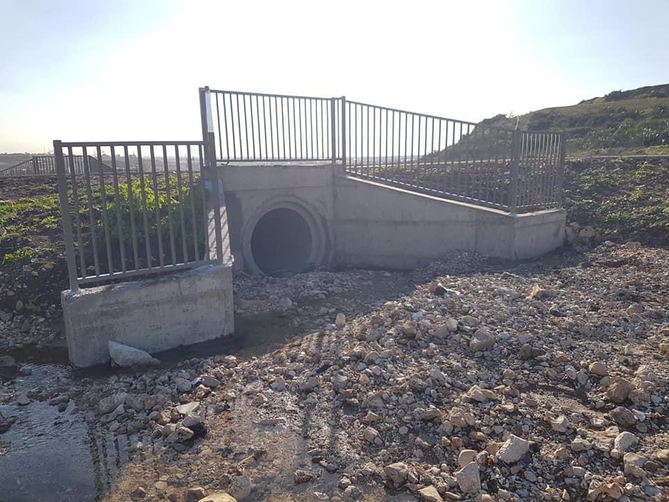 מורן גידור מורן גידור