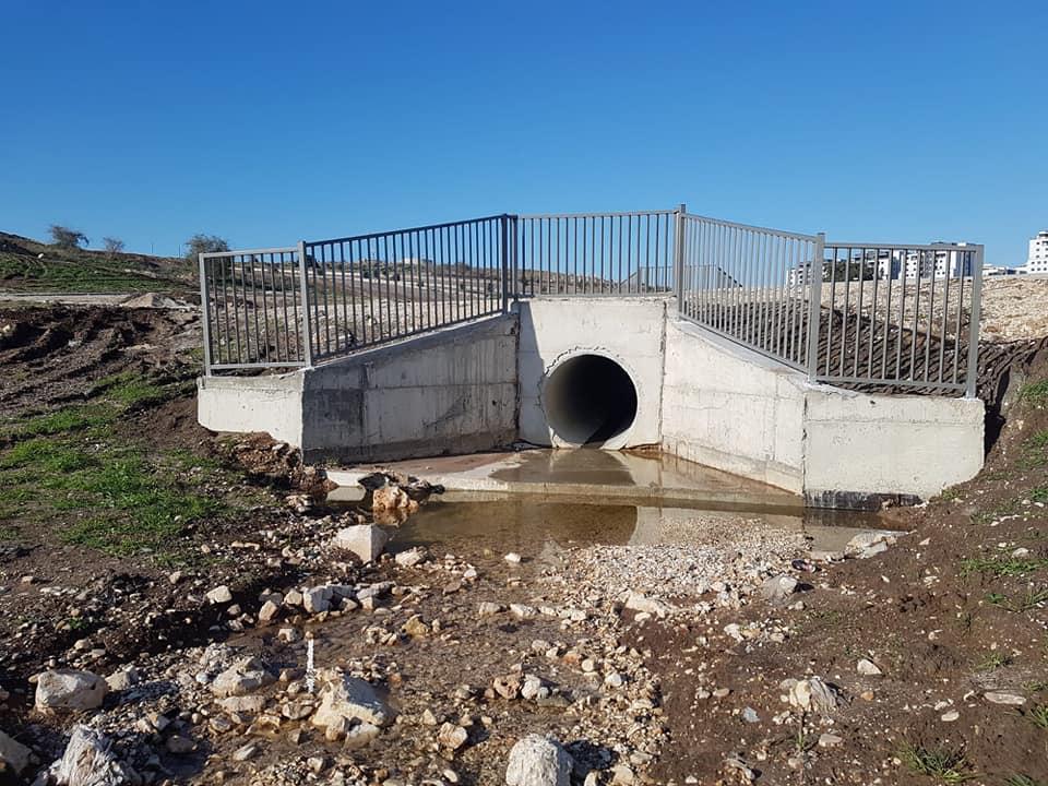 מורן גידור מורן גידור