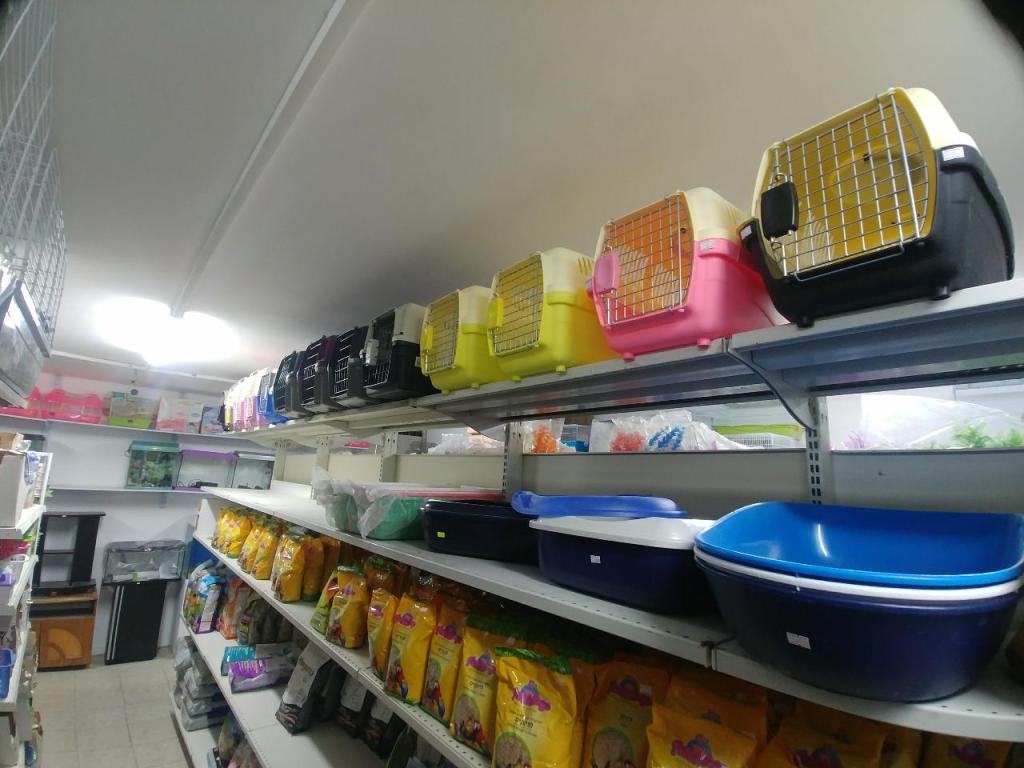 קינג זו קינג זו