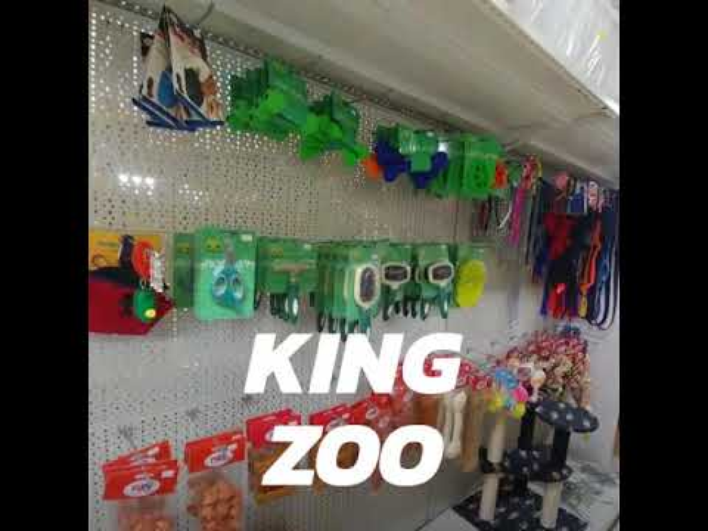 קינג זו קינג זו