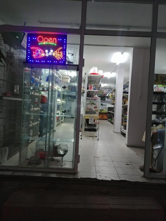 קינג זו קינג זו