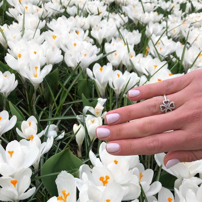 טל בר און טל בר און