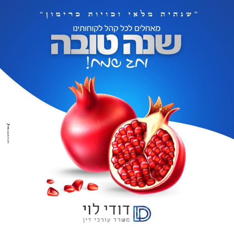 דודי לוי דודי לוי