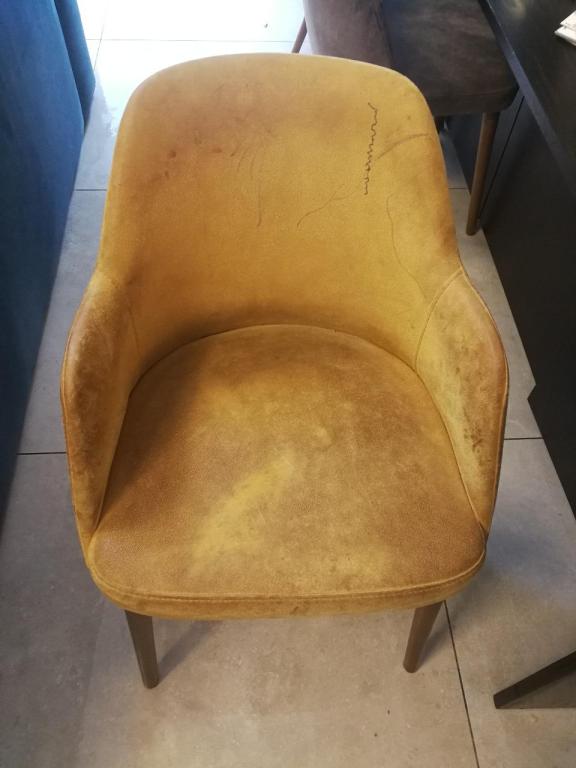 טל קלין טל קלין