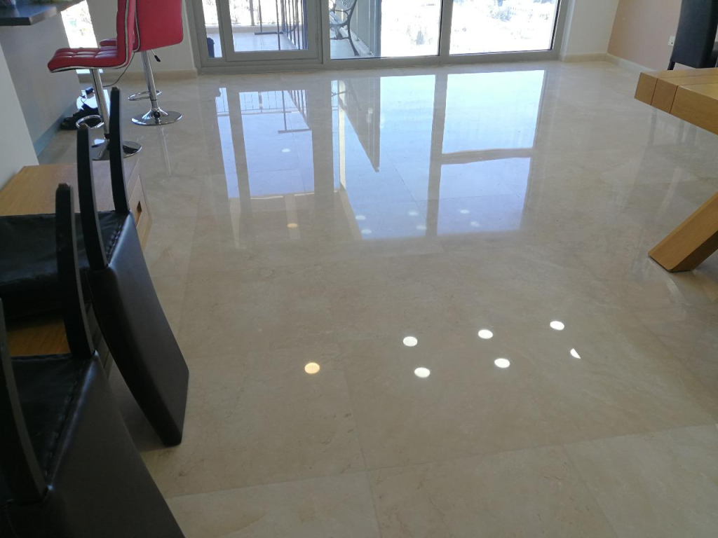 טל קלין טל קלין