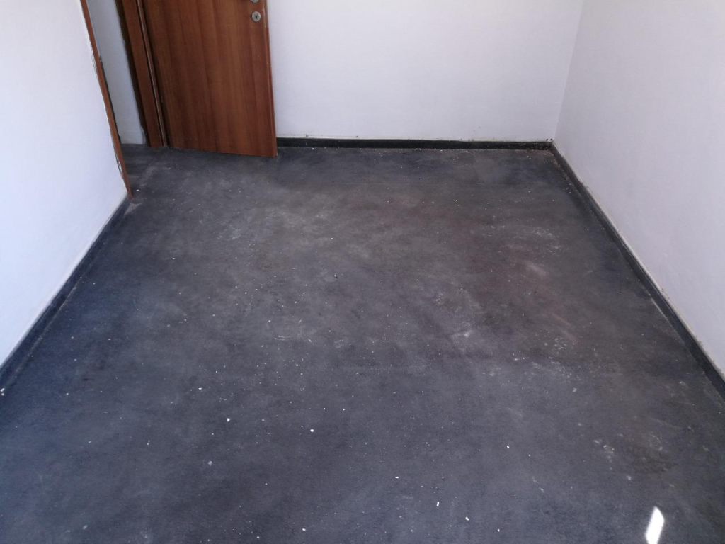 טל קלין טל קלין