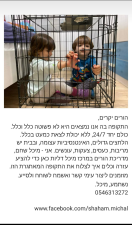 הדרכת הורים