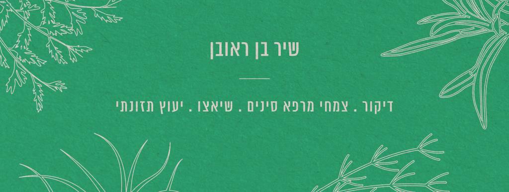 שיר בן ראובן רפואה סינית שיר בן ראובן רפואה סינית