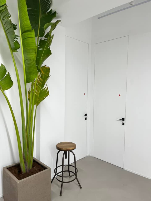 דלתות אלגבי דלתות אלגבי