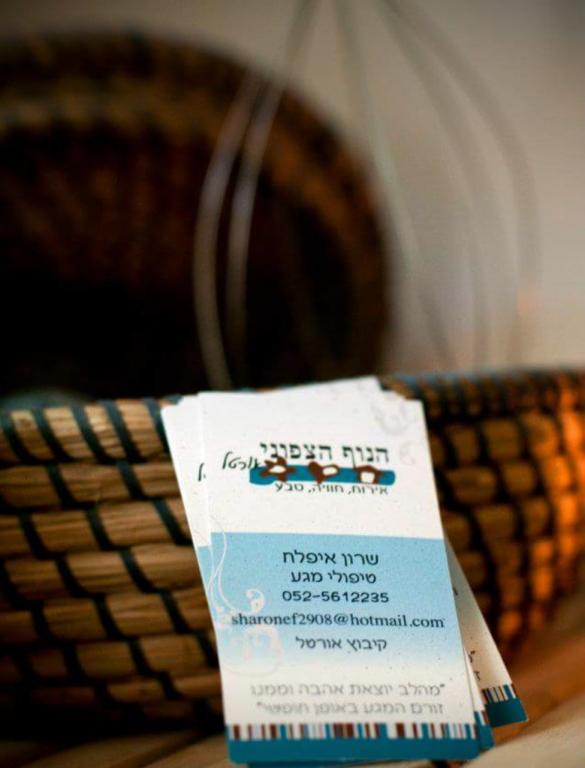 שרון איפלח שרון איפלח