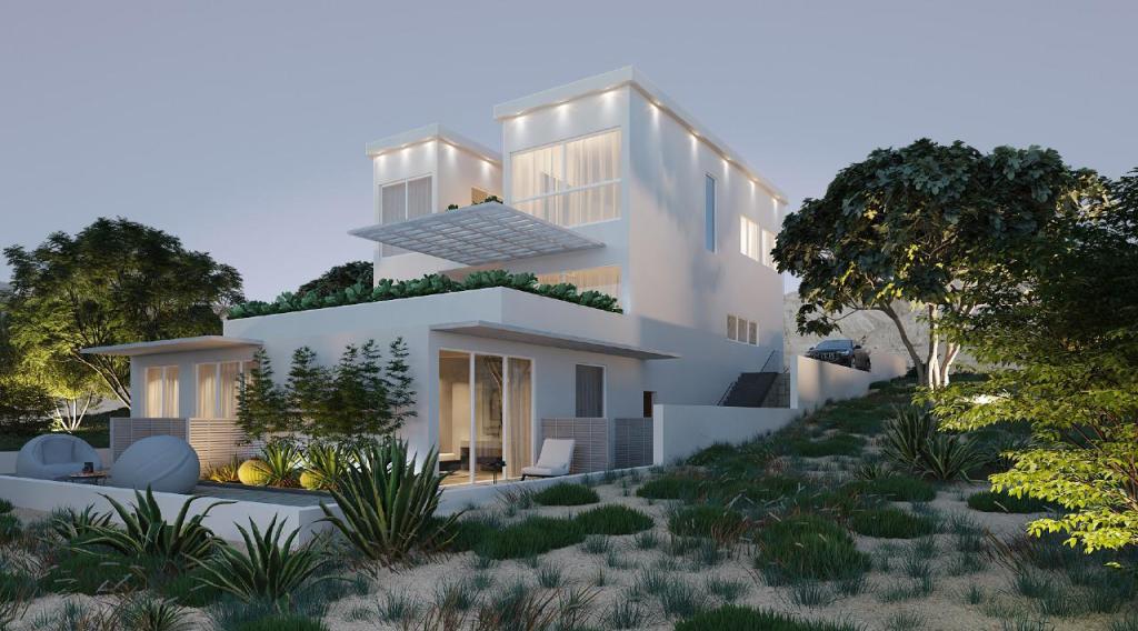 אבישג צרפתי אבישג צרפתי