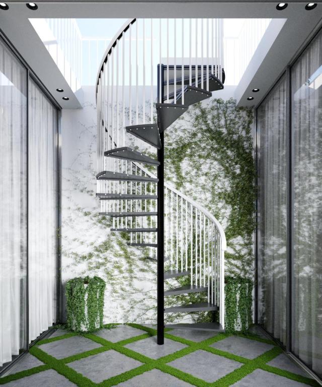 אבישג צרפתי אבישג צרפתי