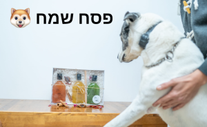 בן אנד טוניק בר אקטיבי