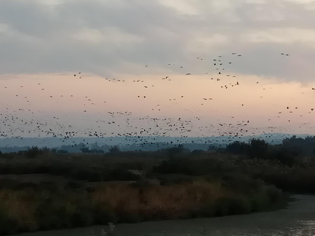 אצלנו אצלנו