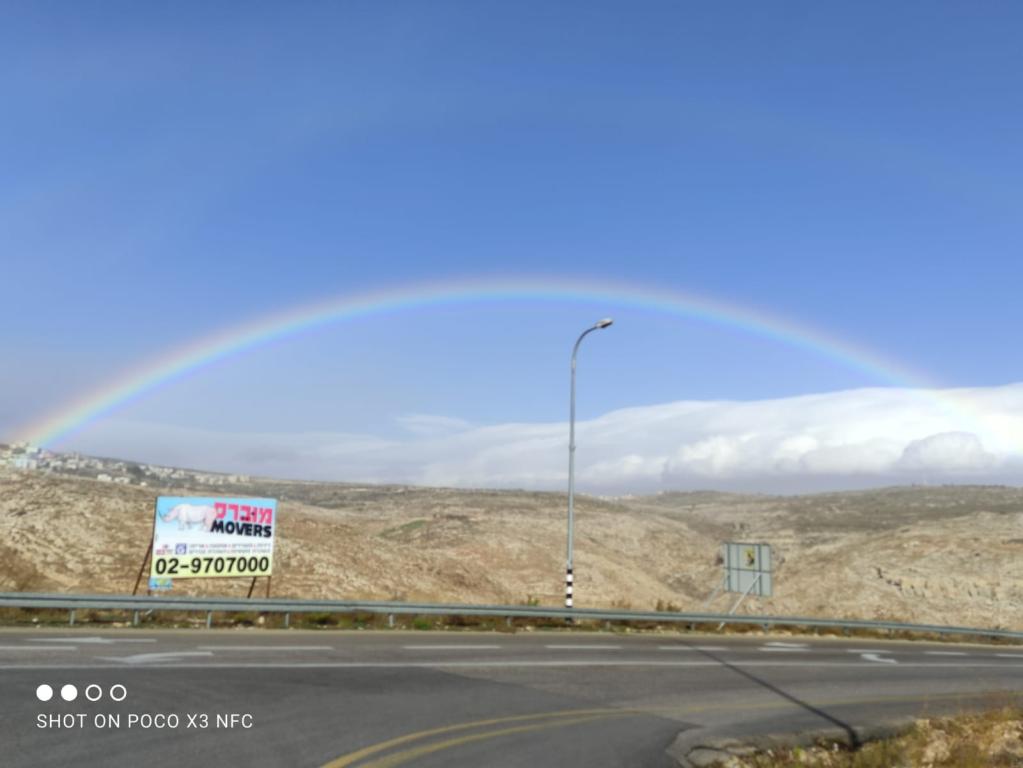 מוברס ישראל movers israel מוברס ישראל movers israel