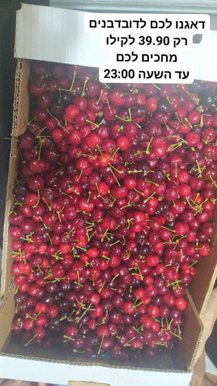 מרכז תבור המזון מרכז תבור המזון