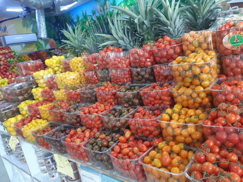 ערבה פרי וברכה ערבה פרי וברכה