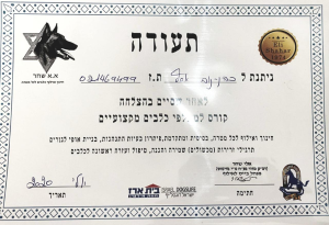 ALL DOGS ISRAEL