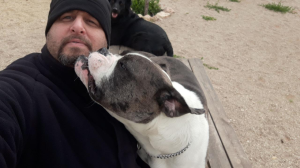 ALL DOGS ISRAEL