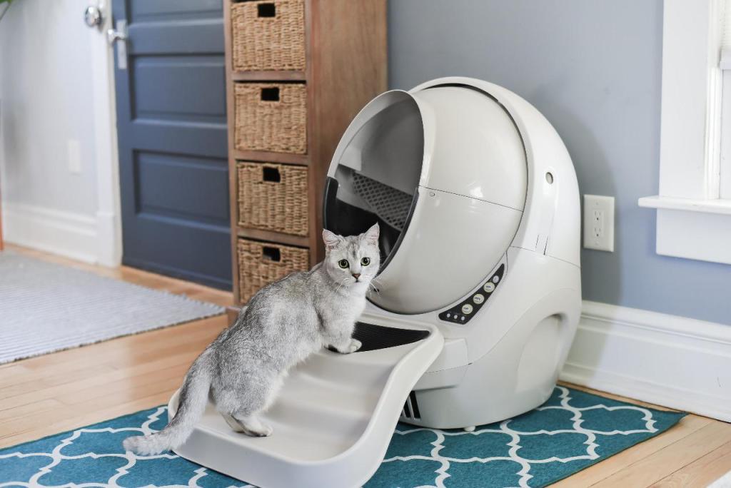 רובוט סטור רובוט סטור