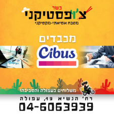 צ'ופסטיקני