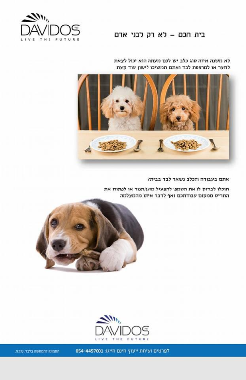 Davidos דוידוס Davidos דוידוס