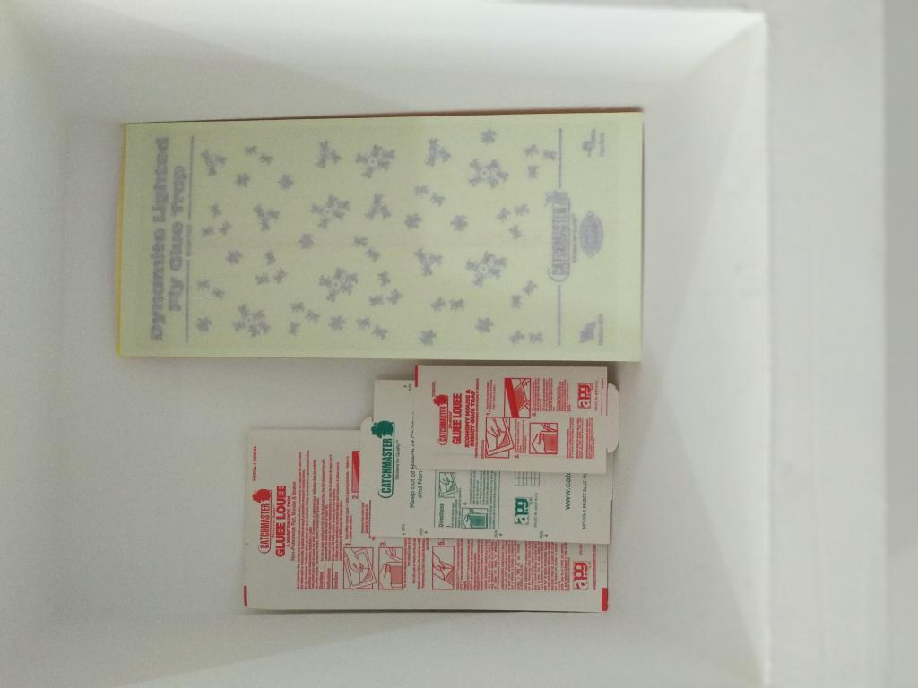 ח.י הדברה והרחקת יונים ח.י הדברה והרחקת יונים