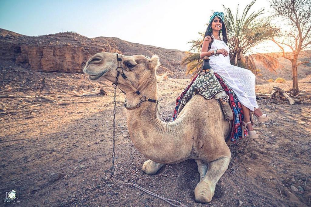 הדר יעקב סטודיו סיטרוס הדר יעקב סטודיו סיטרוס