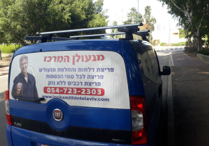 דודי סביון