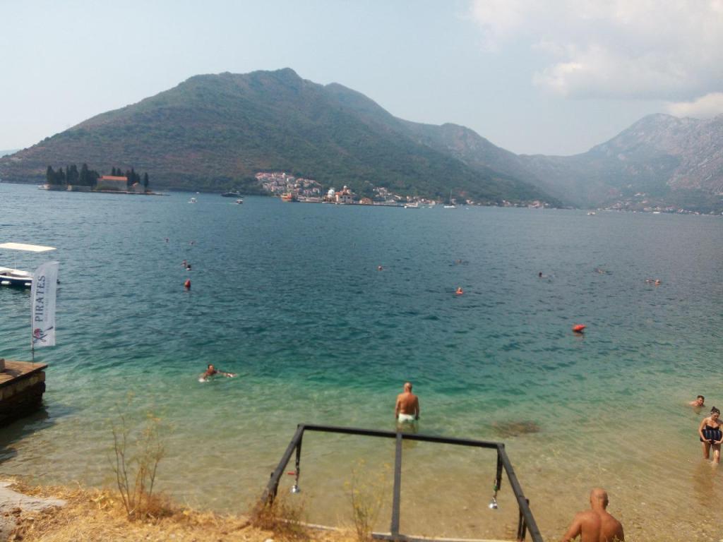 סיגל לוי ניהול כלכלי סיגל לוי ניהול כלכלי