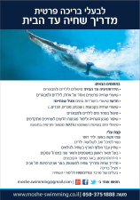 משה באשי