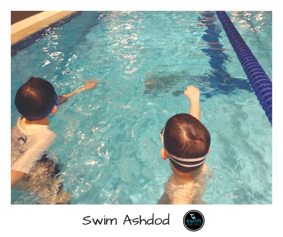 swim בית ספר לשחייה באשדוד swim בית ספר לשחייה באשדוד