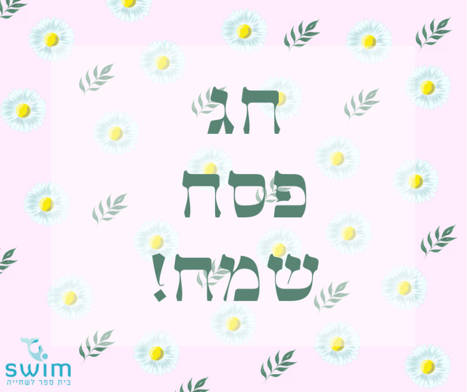 swim בית ספר לשחייה באשדוד swim בית ספר לשחייה באשדוד