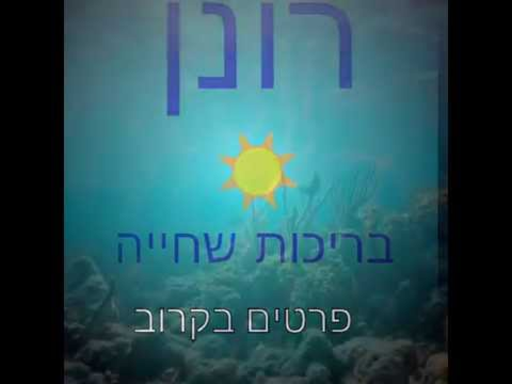 רונן בריכות שחיה רונן בריכות שחיה