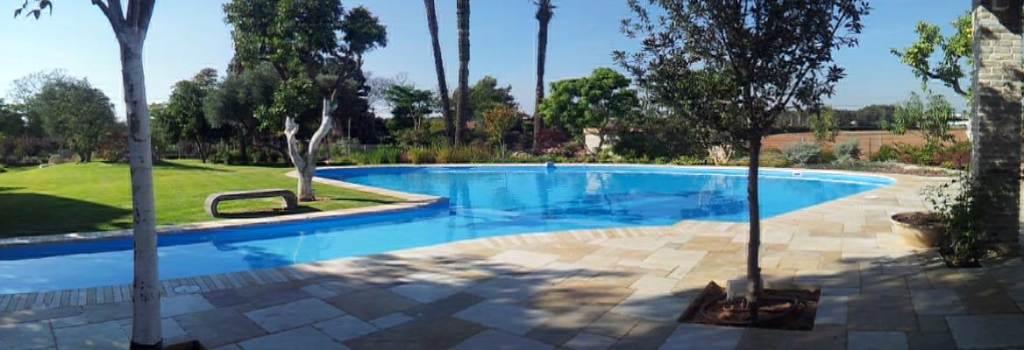 רונן בריכות שחיה רונן בריכות שחיה